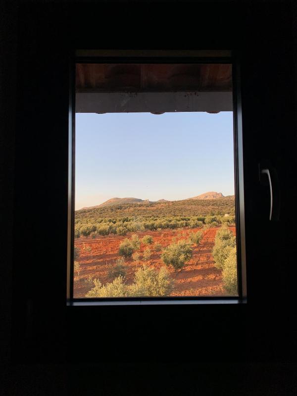 La Guzmana de Ronda - image 19