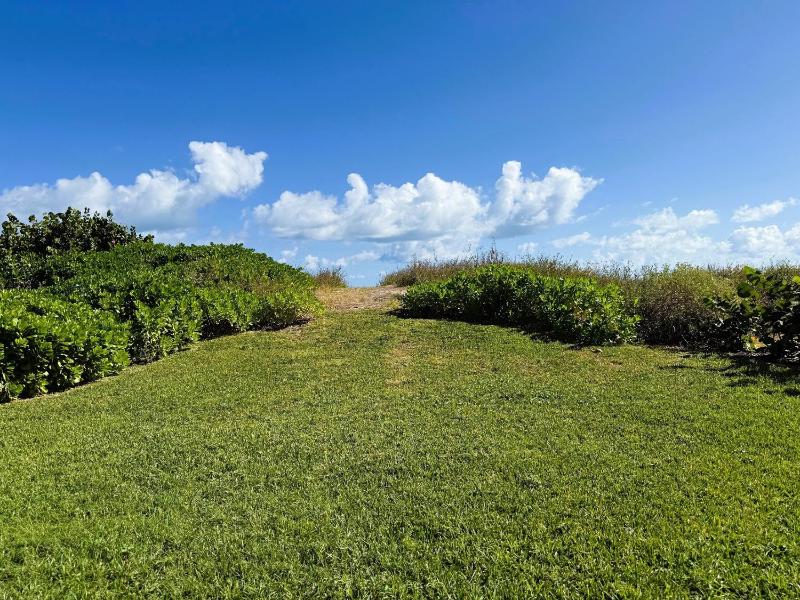 8242 Breakers Blvd home - image 16