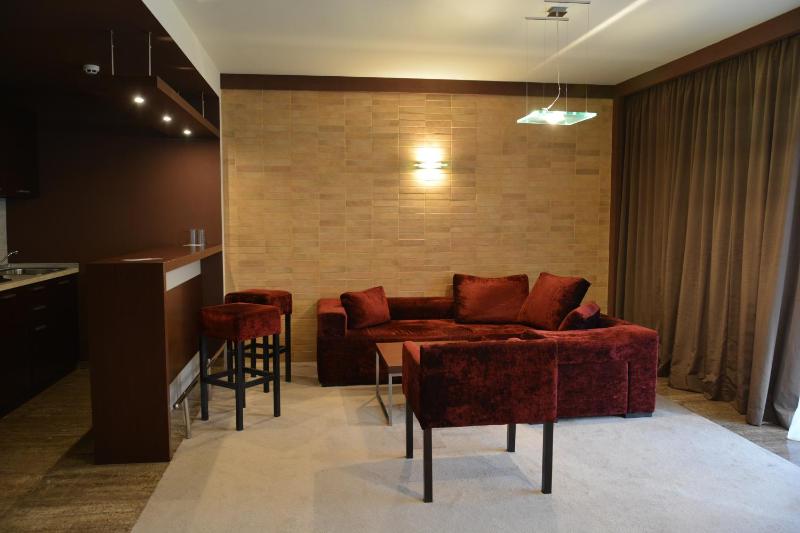 One-Bedroom Apartment with Terrace image 3