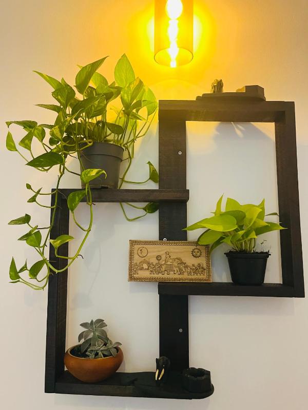 Little J villa - image 13