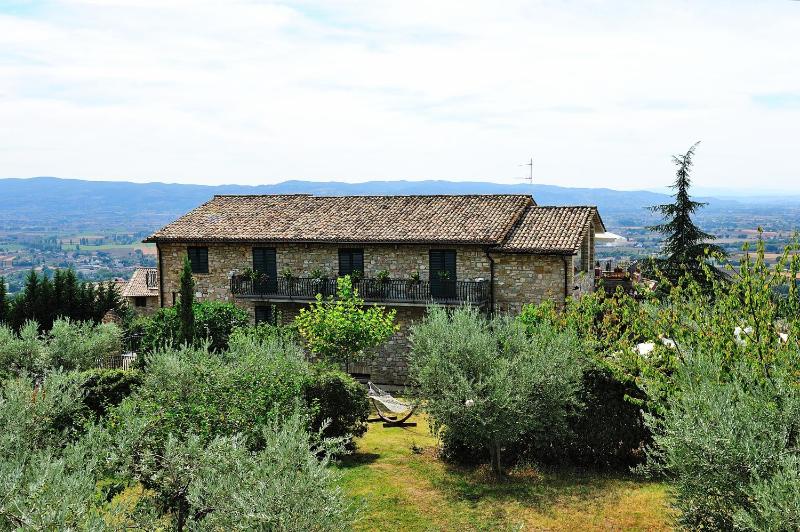 Colle Degli Olivi snc - image 14