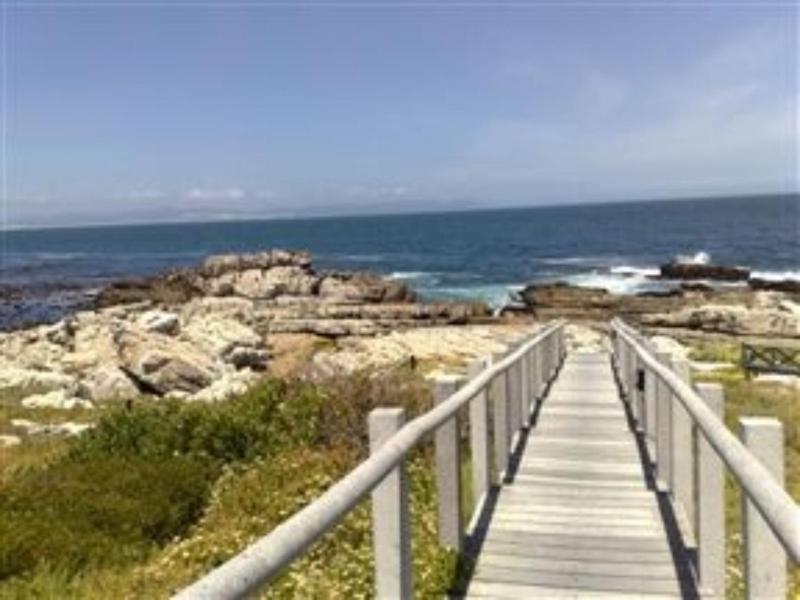 Whale Rock 54 - image 14
