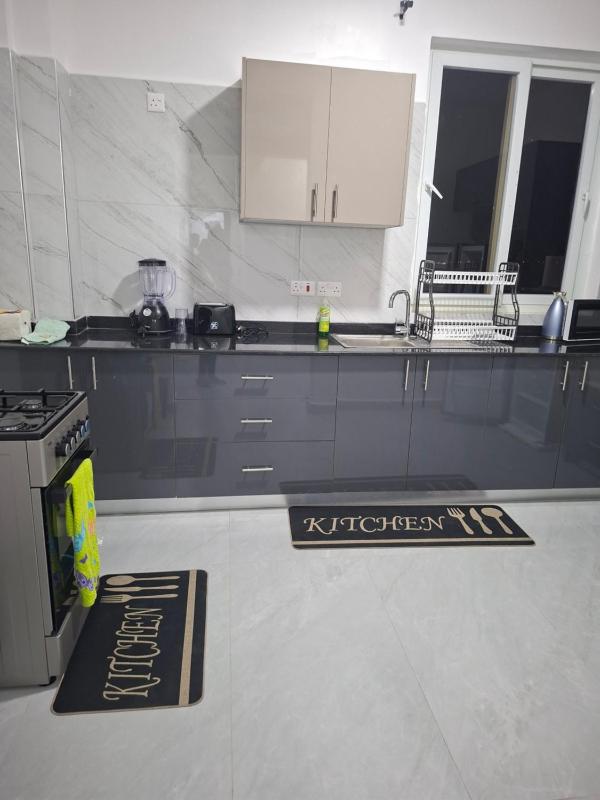 Homely Apartment - image 13