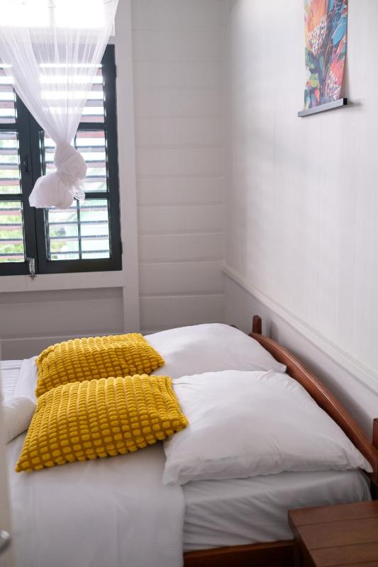 World Heritage in Downtown Paramaribo - image 5