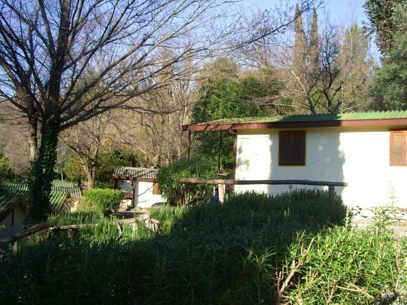 One-Bedroom  Bungalow (2 to 4 Adults) image 4