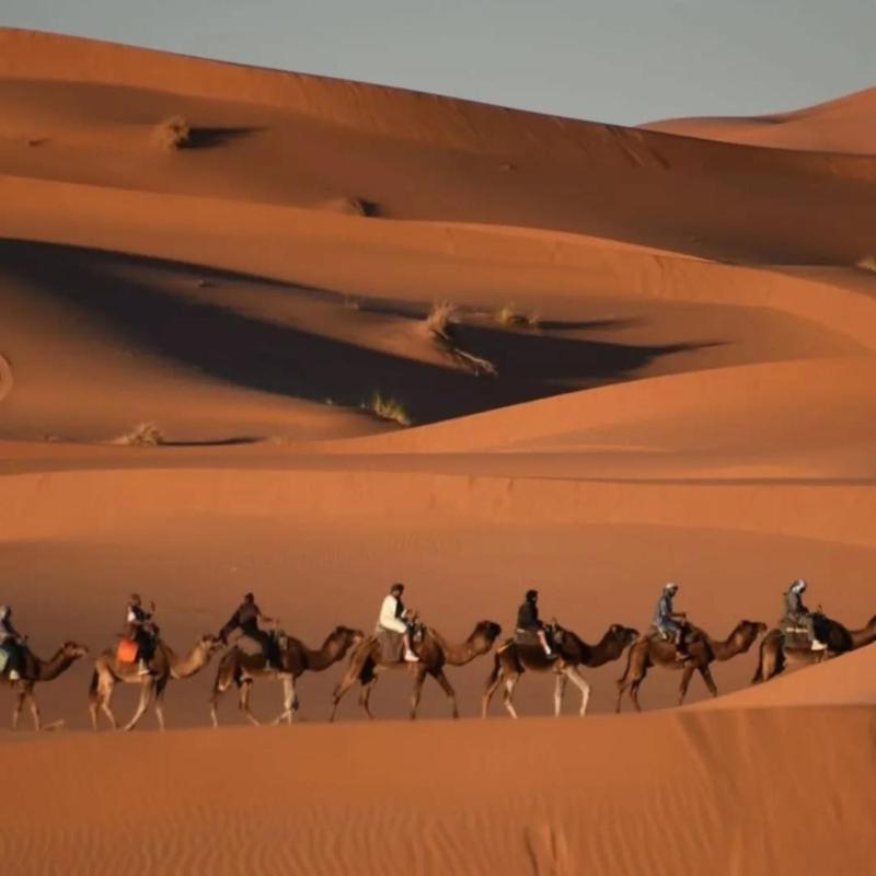 Bikhir Luxury Camp - image 10