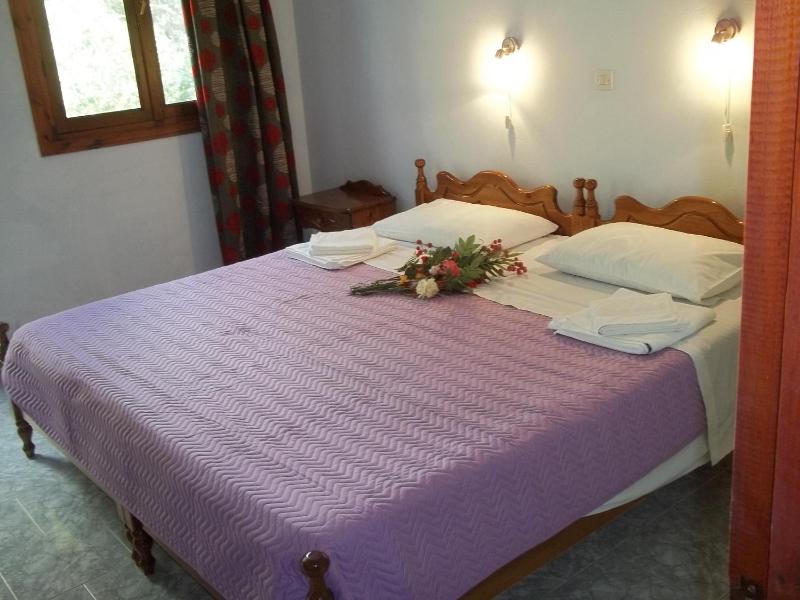 Bungalow (4 Adults) image 3