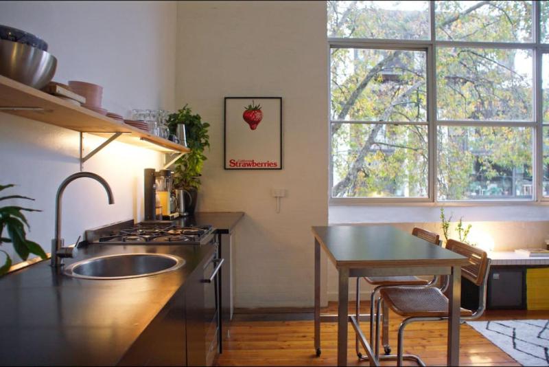 Sleek and Light filled Inner City Loft Apartment - image 13