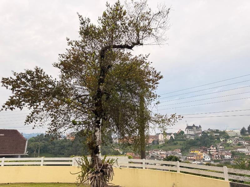 Pousada Villa Monte Fiori - image 16
