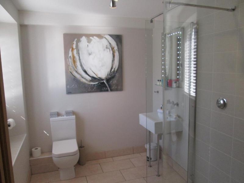Superior Deluxe Double or Twin Room  image 4