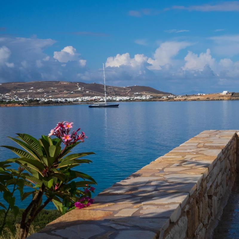 Villa Salty - image 8