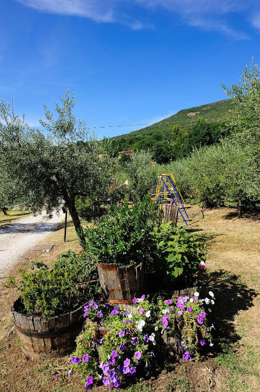 Colle Degli Olivi snc - image 6