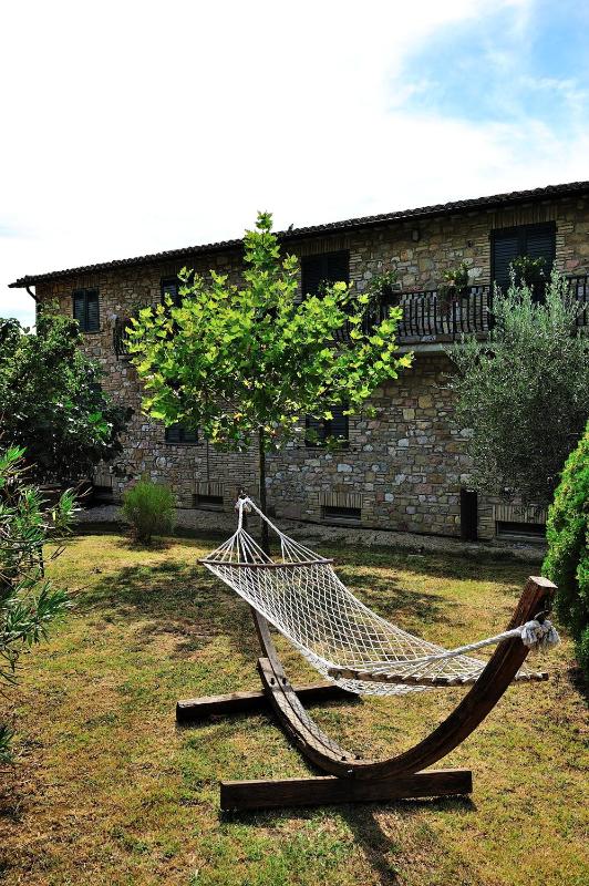 Colle Degli Olivi snc - image 12