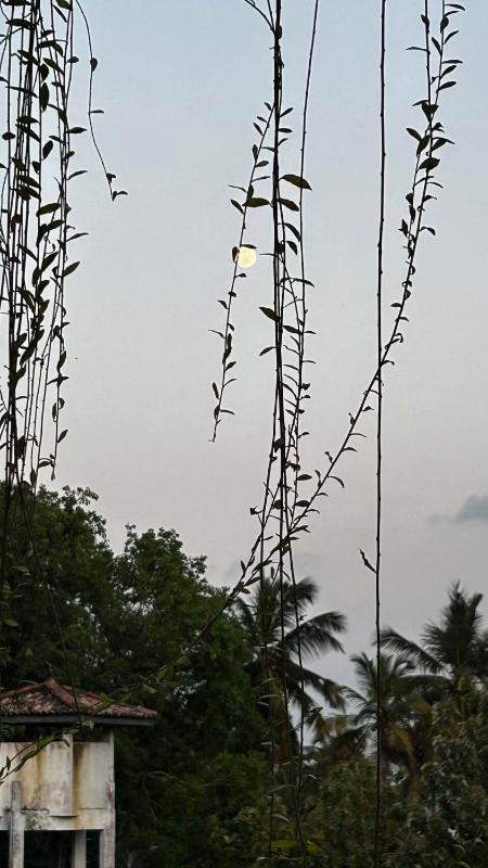 Calma Cafe - Surf Stay and Yoga - image 34