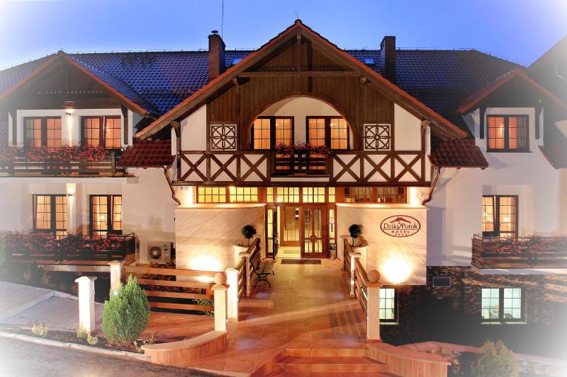 Hotel Dziki Potok Karpacz - image 1