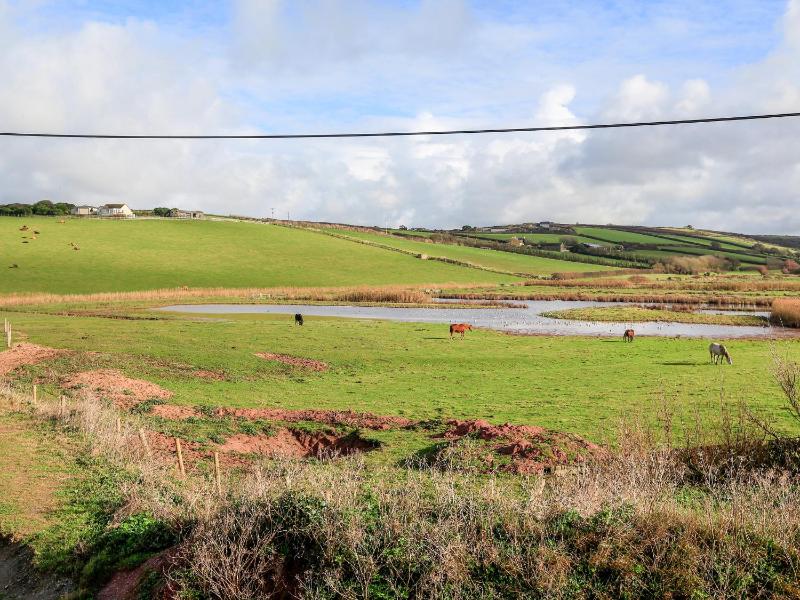 8 Thurlestone Rock - image 22