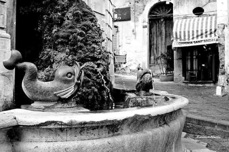 Via Roma Apartment Deluxe - image 6