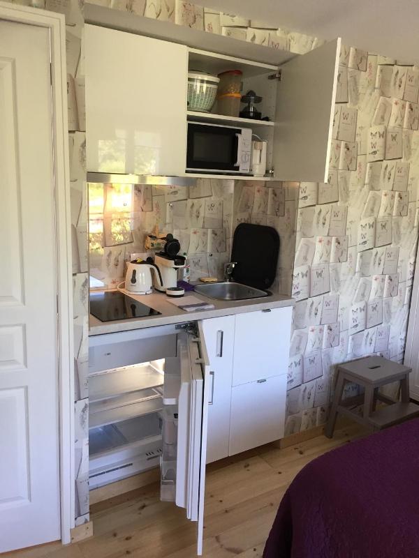 Studio with Terrace image 3