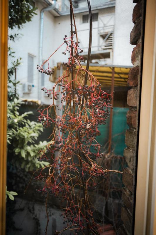 Tomin sokak Apartment - image 11