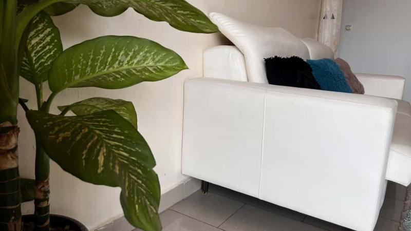 BARAN Home - image 2