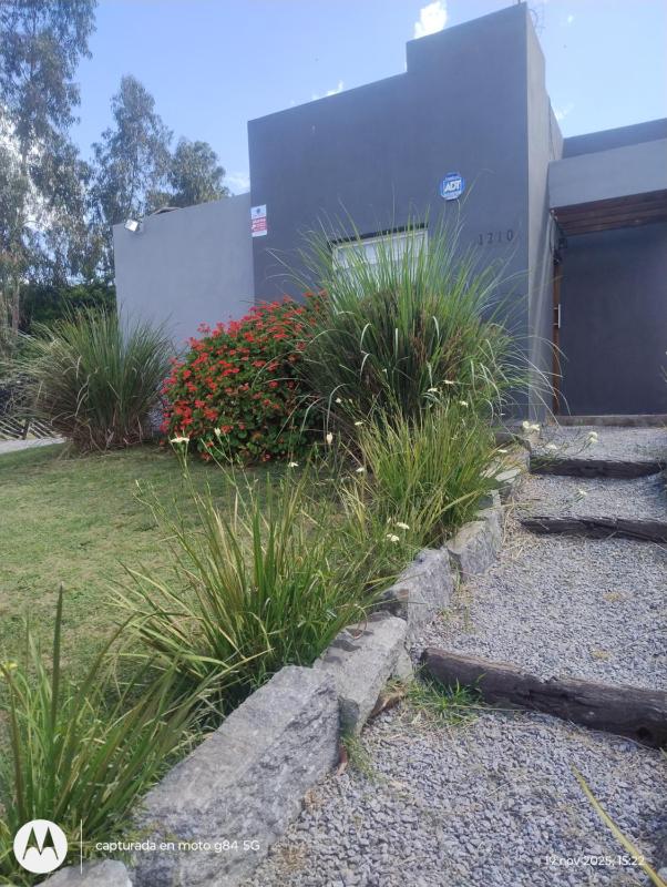 Los nogales - image 12