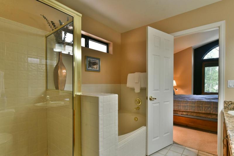 Park Forest Deer Trail Townhome: Hot Tub On Shuttle Route - image 4