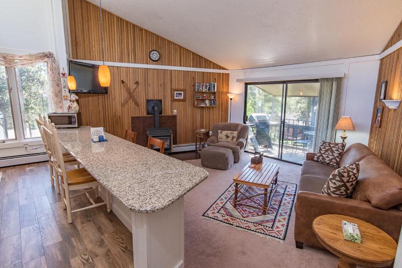 Gold Camp Placer Condo: On Shuttle Route - image 1