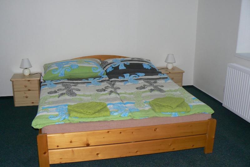One-Bedroom Apartment image 2