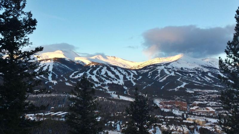 Breck Mountain Lookout - Dog Friendly Home - image 6