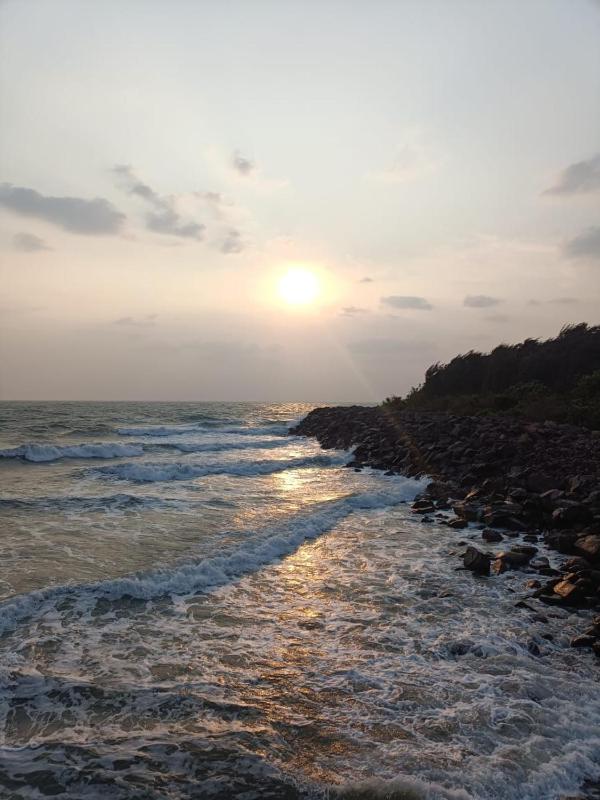 Green Woods Beach Resort - image 9