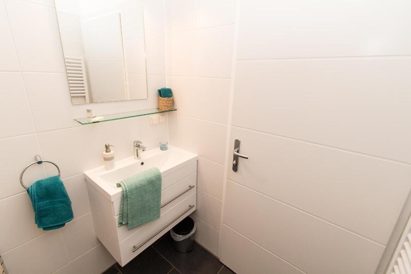One-Bedroom Apartment image 2
