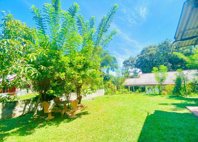 Hiriketiya Lima Homestay - image 6