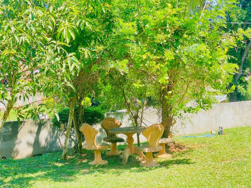 Hiriketiya Lima Homestay - image 5