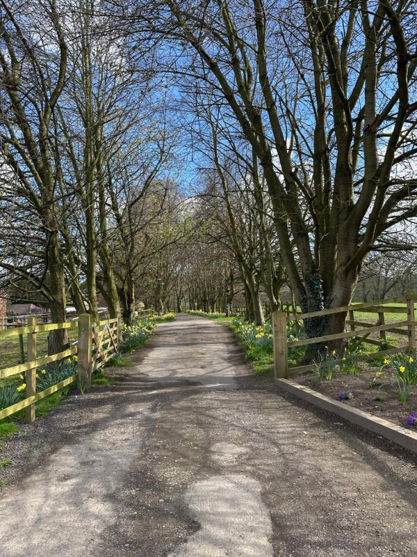 Abbey Farm Bed And Breakfast - image 22