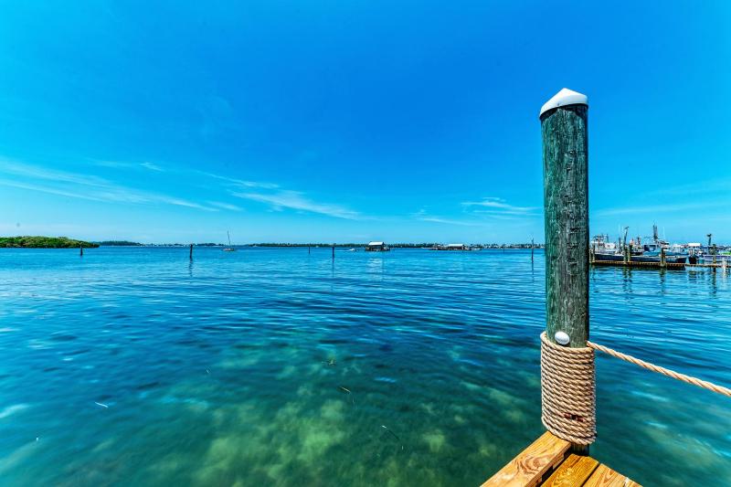 Crooked Coconut: Resort Pool & Spa Dock - image 12
