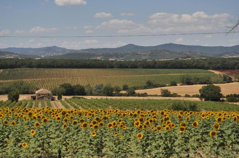 Il casale del Trebbio - image 11