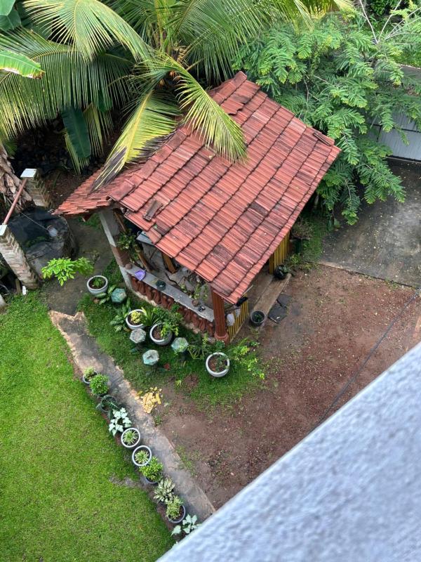 Villa Hikka Blue Bird - image 5