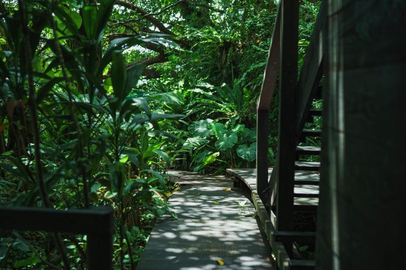 Villa SACHIIBARU - image 34