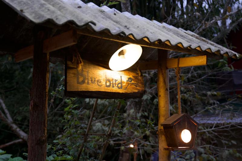 The Nest - Homestay bên suối nhỏ - image 15