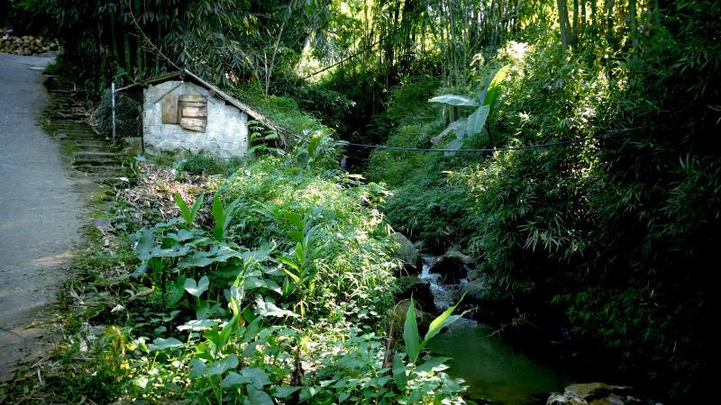 The Nest - Homestay bên suối nhỏ - image 2