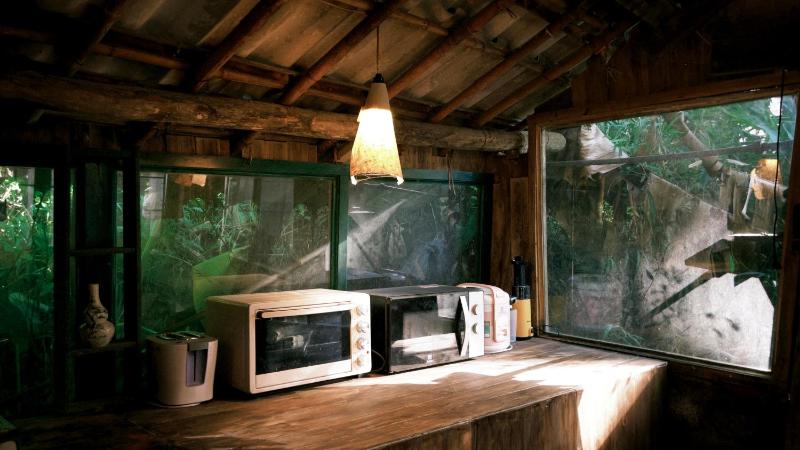 The Nest - Homestay bên suối nhỏ - image 5