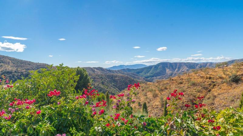 Cortijo Juan Salvador Málaga by Ruralidays - image 24