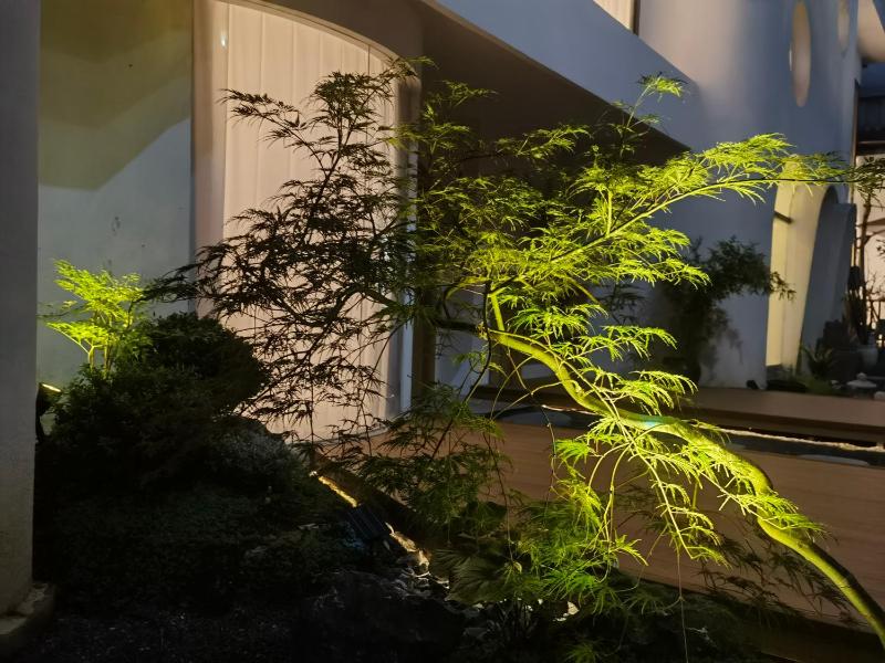 Tangyin Courtyard Hotel - image 8