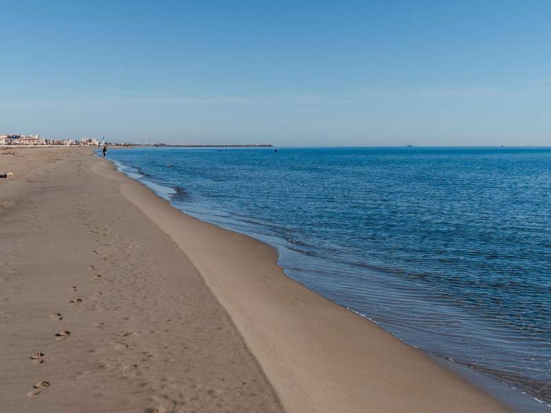 Appartement T2 bord de mer 2 pers animaux admis parking public location draps & serviettes - FR-1-409-25 - image 4