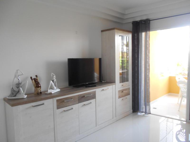 One-Bedroom Apartment image 2