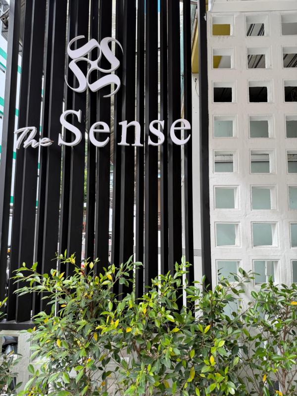 The Sense - image 12