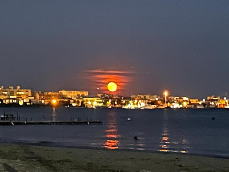 Ortigia Suite San Giuseppe - image 5