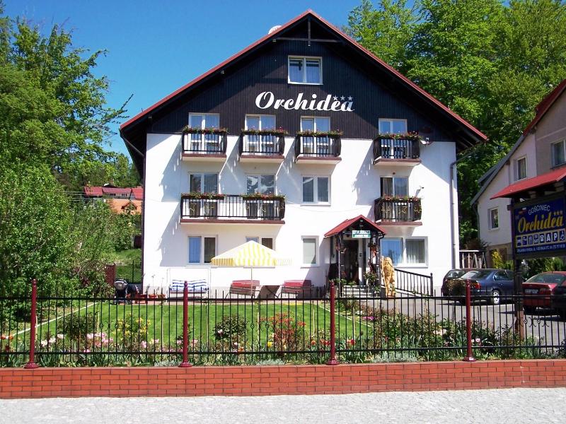 Orchidea - image 2