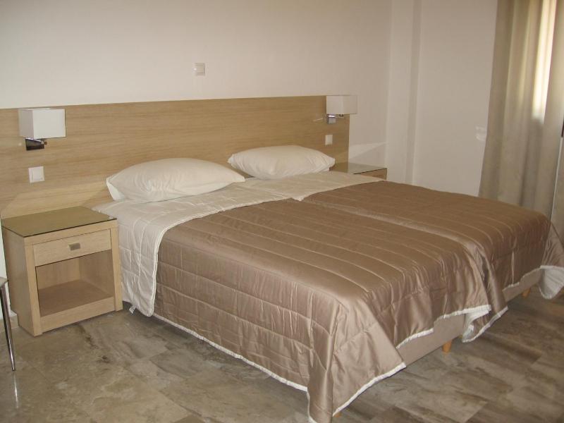 One-Bedroom Apartment image 2