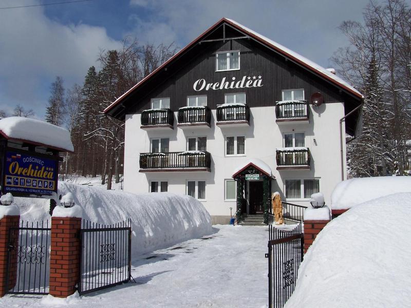 Orchidea - image 14